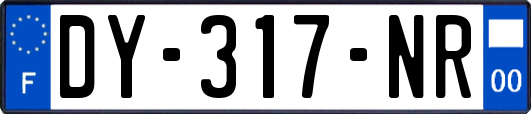 DY-317-NR