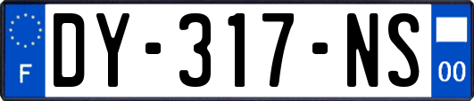 DY-317-NS