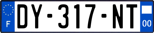 DY-317-NT