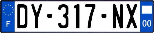 DY-317-NX