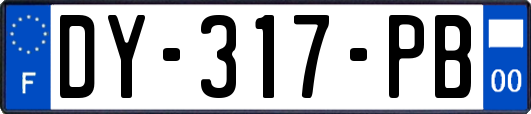 DY-317-PB