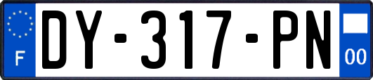 DY-317-PN