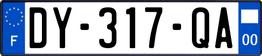 DY-317-QA
