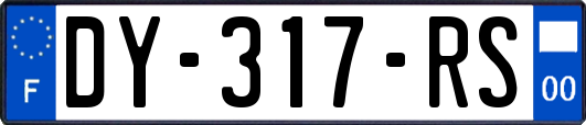 DY-317-RS