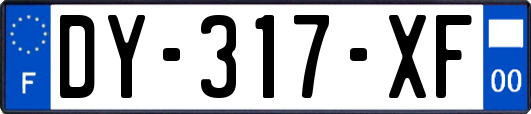 DY-317-XF