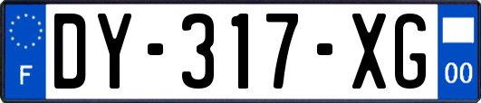 DY-317-XG