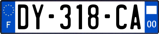 DY-318-CA