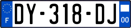 DY-318-DJ