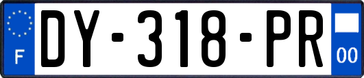 DY-318-PR