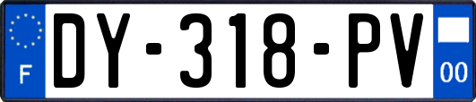 DY-318-PV