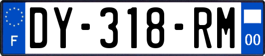 DY-318-RM