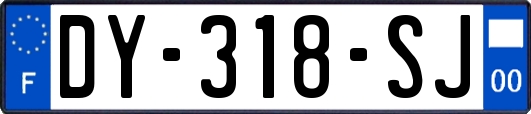 DY-318-SJ