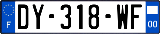 DY-318-WF