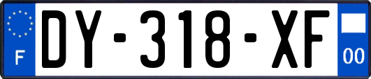 DY-318-XF