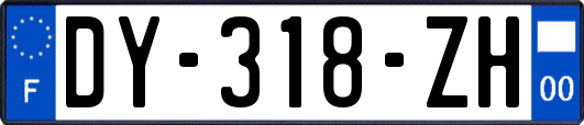 DY-318-ZH