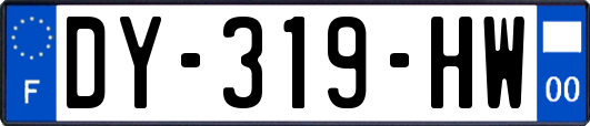 DY-319-HW