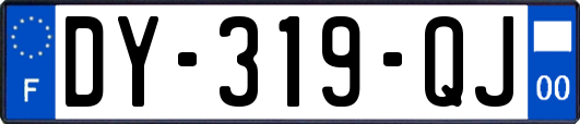 DY-319-QJ