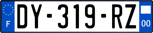 DY-319-RZ