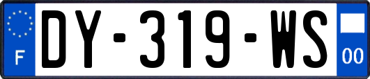 DY-319-WS