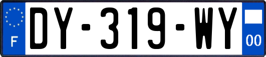 DY-319-WY