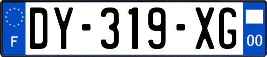 DY-319-XG