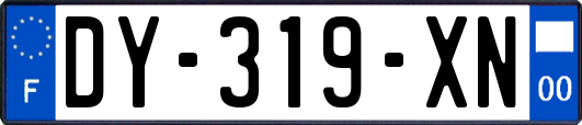 DY-319-XN