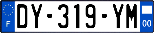 DY-319-YM