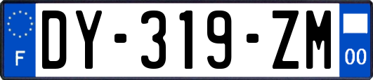 DY-319-ZM