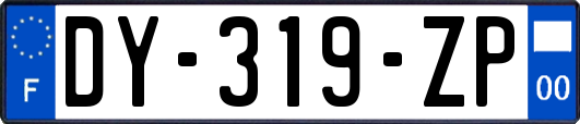 DY-319-ZP