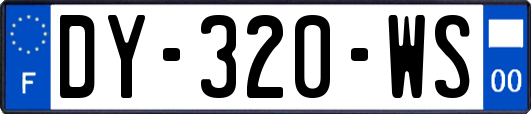 DY-320-WS