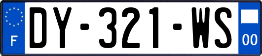 DY-321-WS