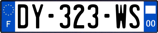 DY-323-WS