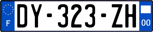 DY-323-ZH