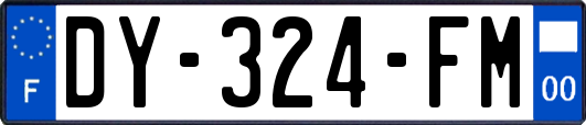 DY-324-FM