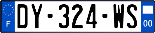 DY-324-WS