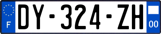 DY-324-ZH