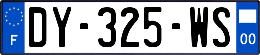 DY-325-WS