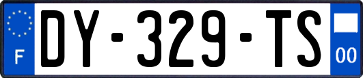 DY-329-TS