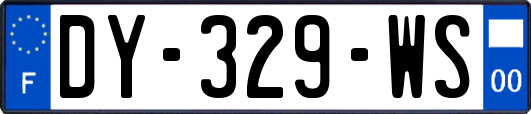 DY-329-WS