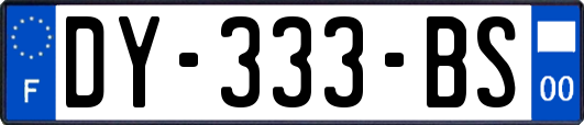 DY-333-BS