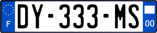 DY-333-MS