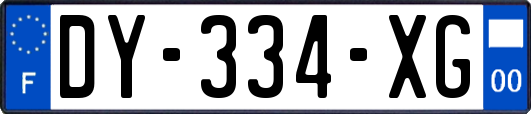 DY-334-XG