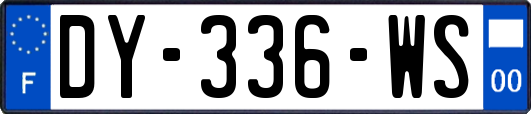 DY-336-WS