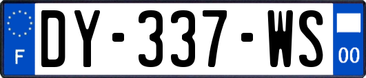 DY-337-WS