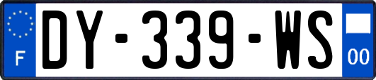 DY-339-WS