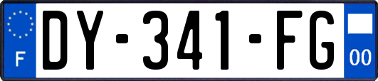 DY-341-FG