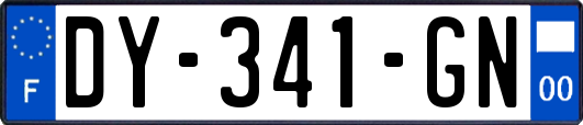 DY-341-GN