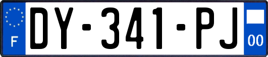 DY-341-PJ