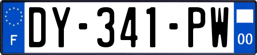 DY-341-PW