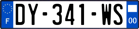 DY-341-WS